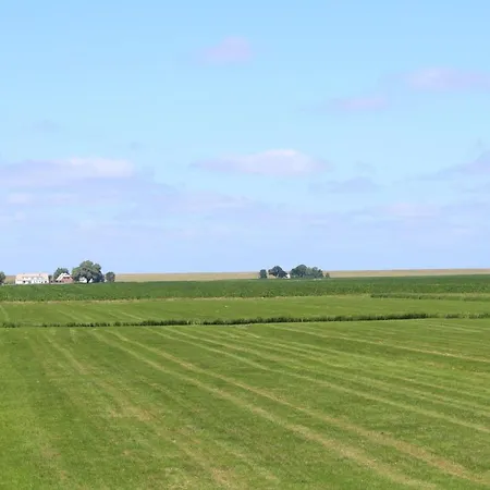 Traummomente * Stick